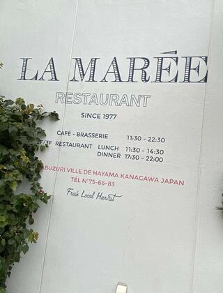 レストラン ラ・マーレのクチコミ写真1