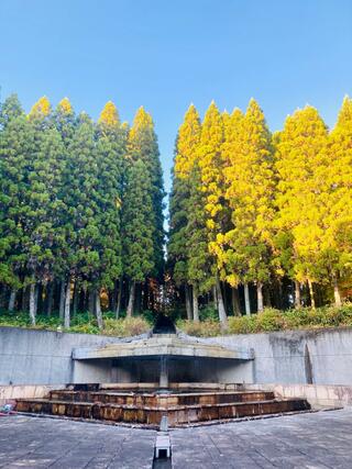 愛知県緑化センター・昭和の森のクチコミ写真7