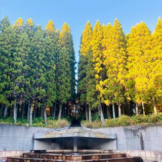 愛知県緑化センター・昭和の森の写真5