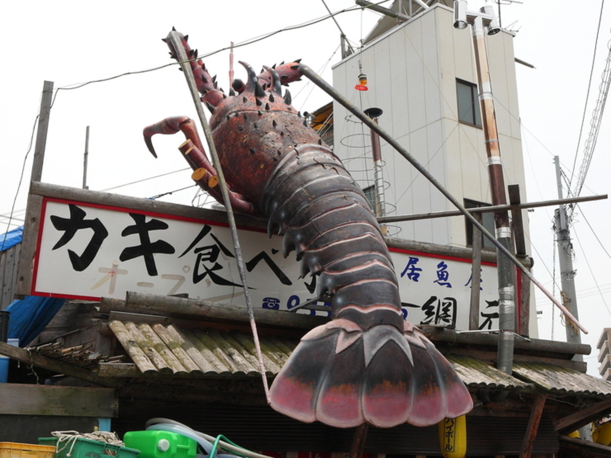 居魚屋 網元の代表写真9