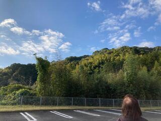 筑紫野市総合公園のクチコミ写真3