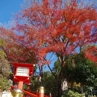 足利織姫神社のクチコミ写真1