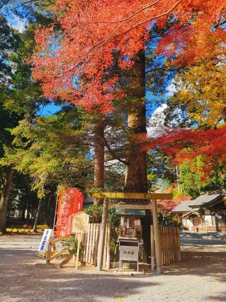 椿大神社のクチコミ写真3