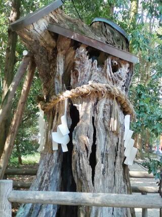 下鴨神社のクチコミ写真4