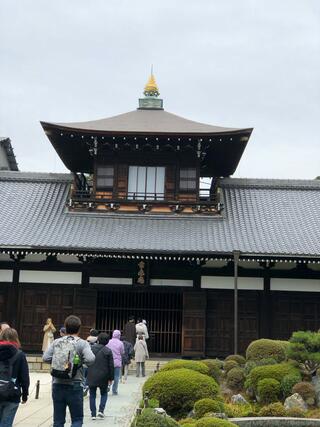 東福寺のクチコミ写真6