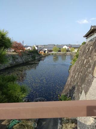 岸和田城のクチコミ写真8