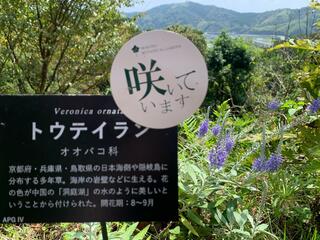 高知県立牧野植物園のクチコミ写真7
