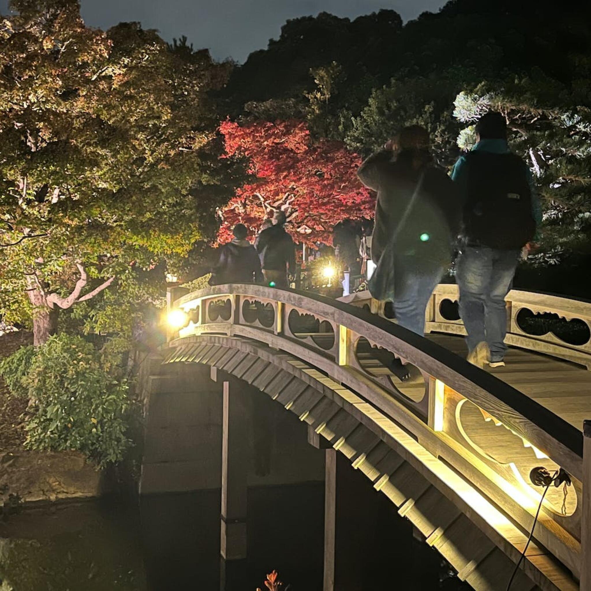大仙公園日本庭園の代表写真9