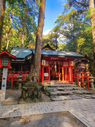 椿大神社のクチコミ写真2