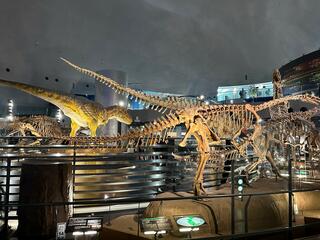 福井県立恐竜博物館のクチコミ写真3