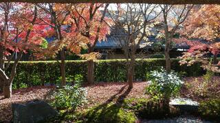 パンとエスプレッソと嵐山庭園のクチコミ写真4
