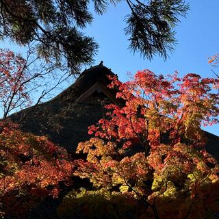 阿蘇山の写真28