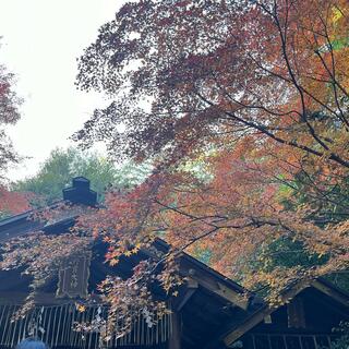 野宮神社の写真28