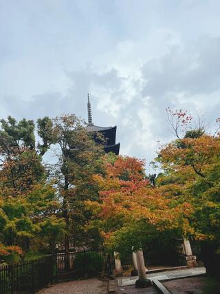 東寺のクチコミ写真1