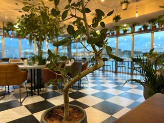 Botanical cafe KING-GODのクチコミ写真3