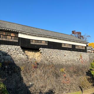 熊本城のクチコミ写真6