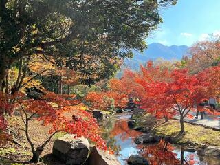 香川用水記念公園のクチコミ写真3