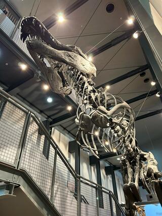 福井県立恐竜博物館のクチコミ写真2