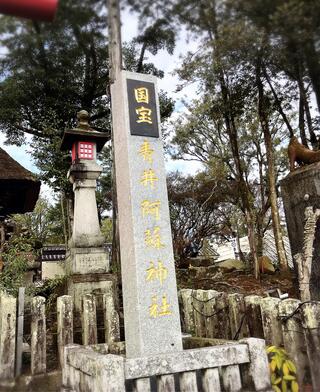 青井阿蘇神社のクチコミ写真6