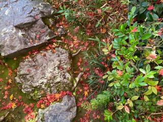 大河内山荘庭園のクチコミ写真4