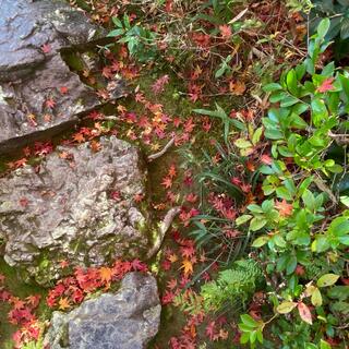 大河内山荘庭園の写真15