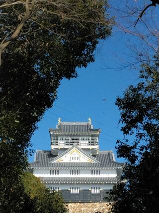 岐阜城のクチコミ写真1