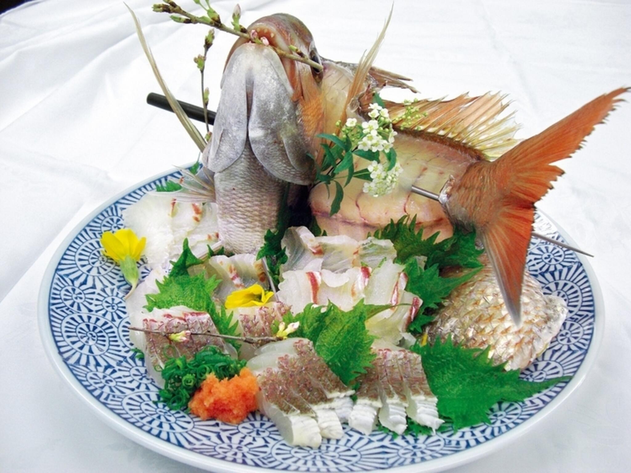 日本料理悠善の代表写真8