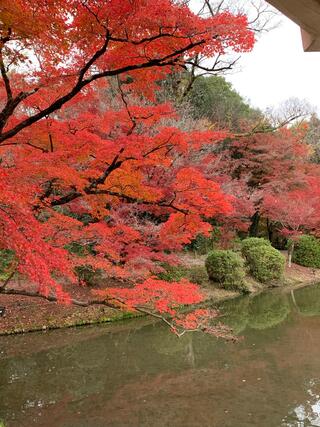 京都府立植物園のクチコミ写真1
