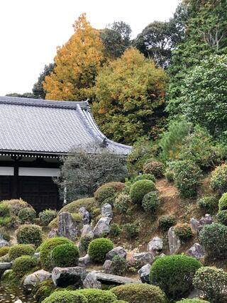 東福寺のクチコミ写真7