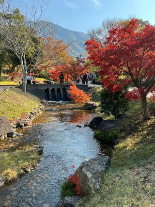 香川用水記念公園のクチコミ写真1