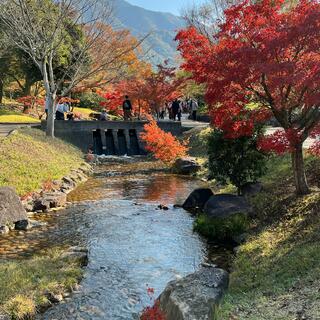 香川用水記念公園の写真12