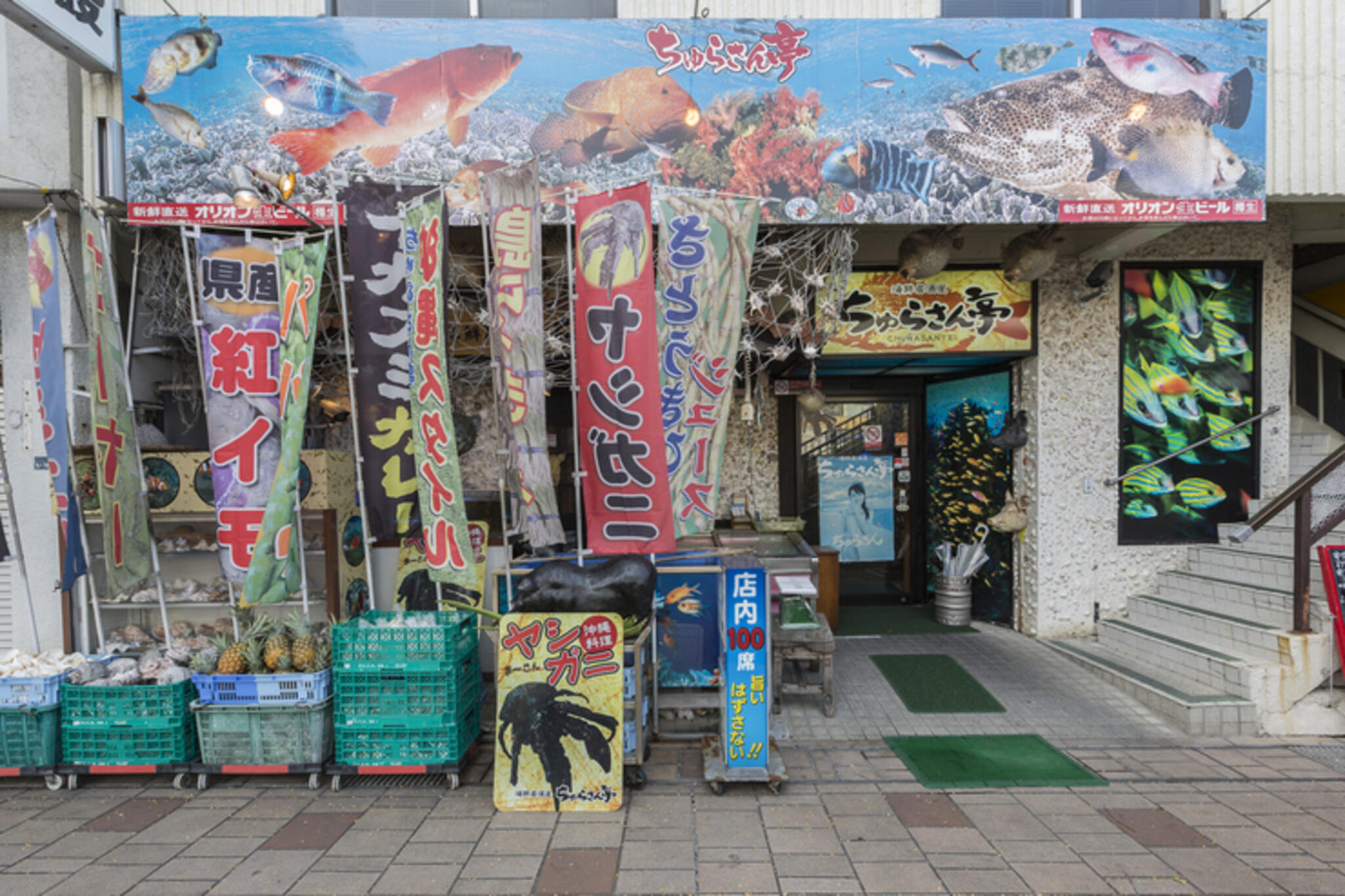 沖縄近海魚 琉球料理 ちゅらさん亭の代表写真6