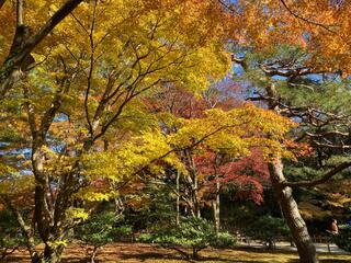 兼六園のクチコミ写真5