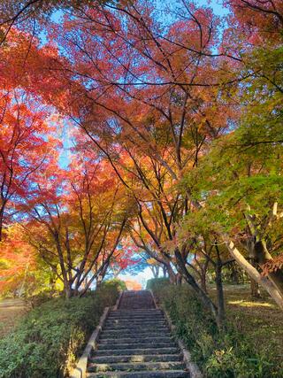 愛知県緑化センター・昭和の森のクチコミ写真3