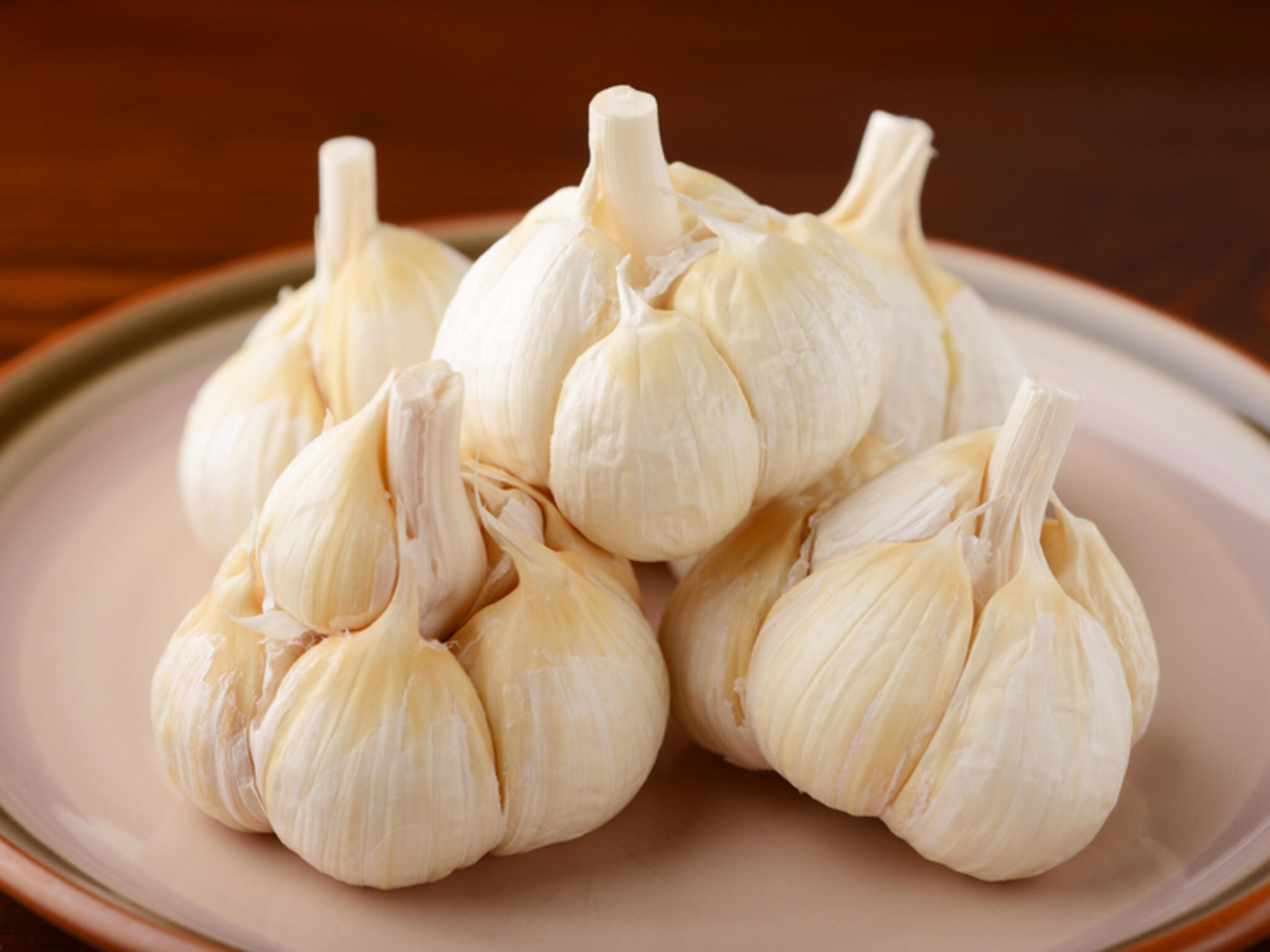 Garlic×Garlicの代表写真1