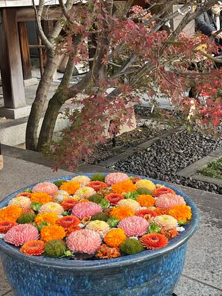 行田八幡神社のクチコミ写真1