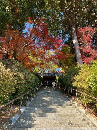 大興善寺のクチコミ写真7