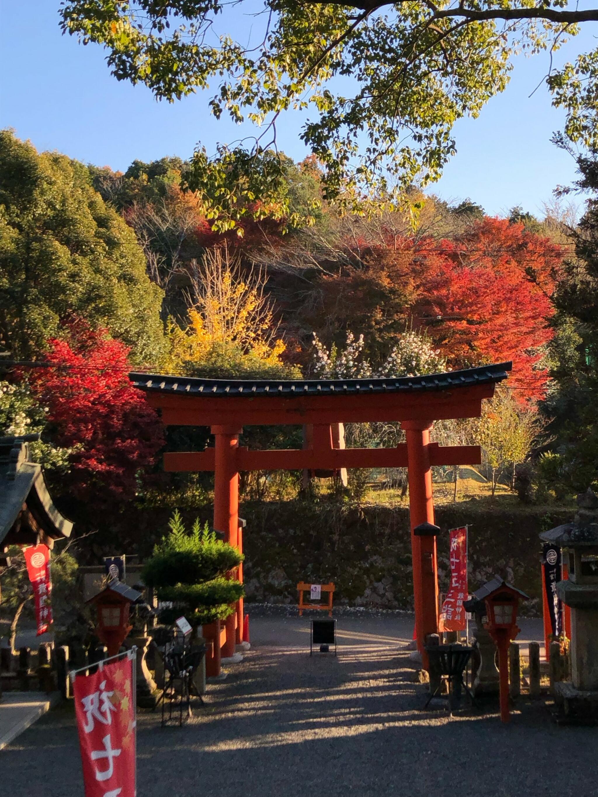 敢國神社の代表写真6