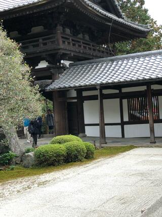 東福寺のクチコミ写真9