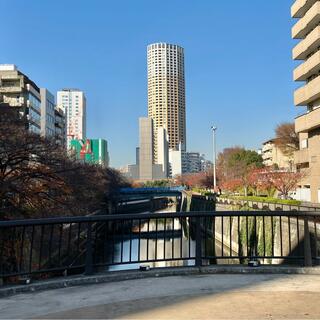 なかめ公園橋の写真5