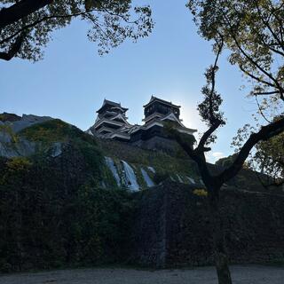 熊本城のクチコミ写真2