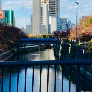 なかめ公園橋の写真7