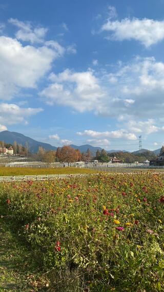 滋賀農業公園ブルーメの丘のクチコミ写真2