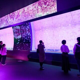 アクアワールド茨城県大洗水族館の写真14