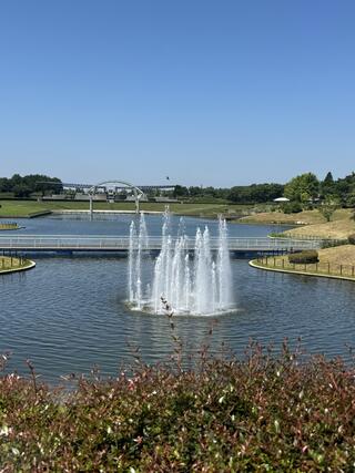 国営ひたち海浜公園のクチコミ写真1