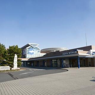 アクアワールド茨城県大洗水族館の写真17