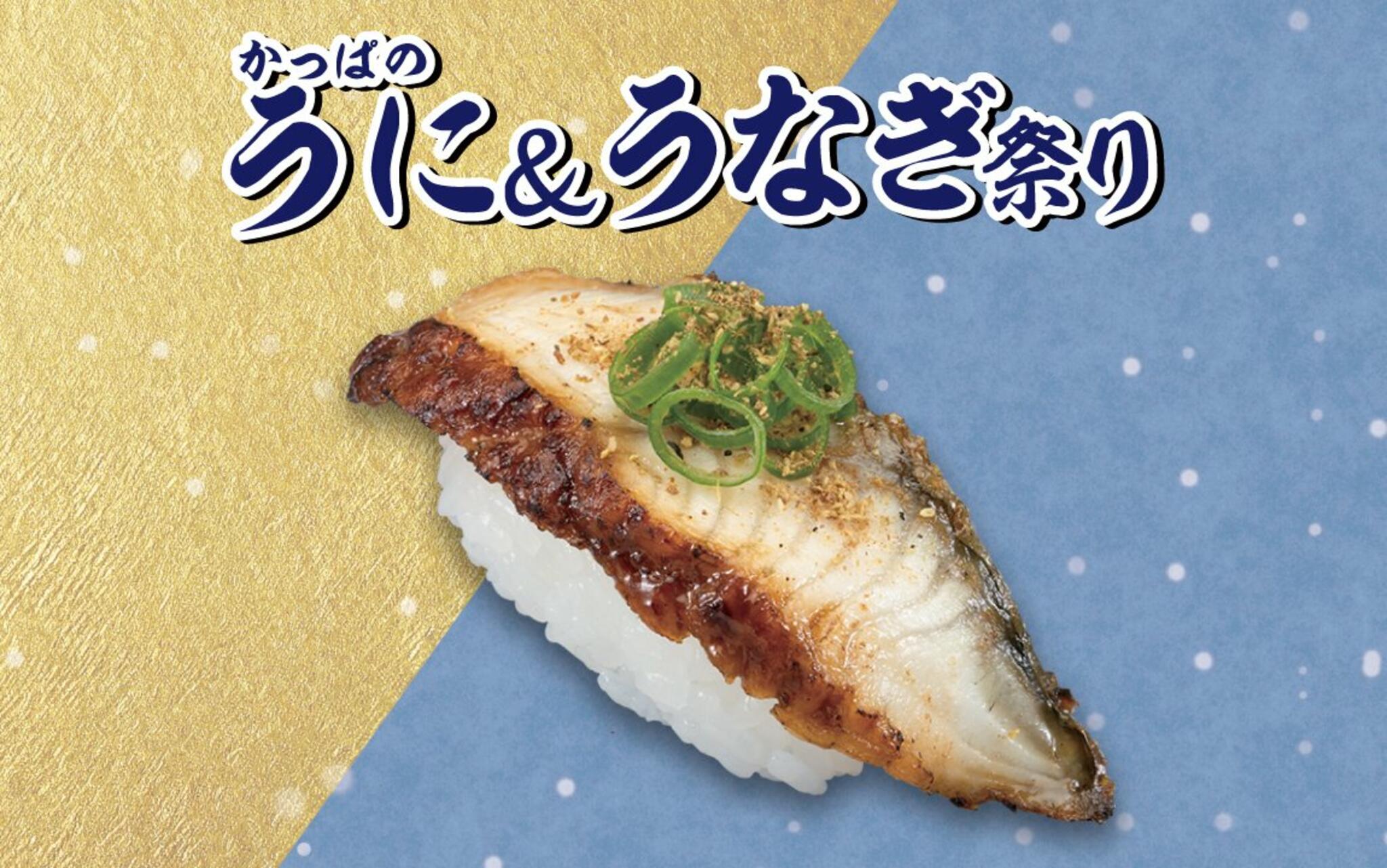 かっぱ寿司 穂積店の代表写真4