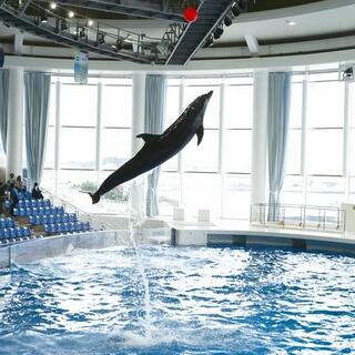 アクアワールド茨城県大洗水族館の写真15