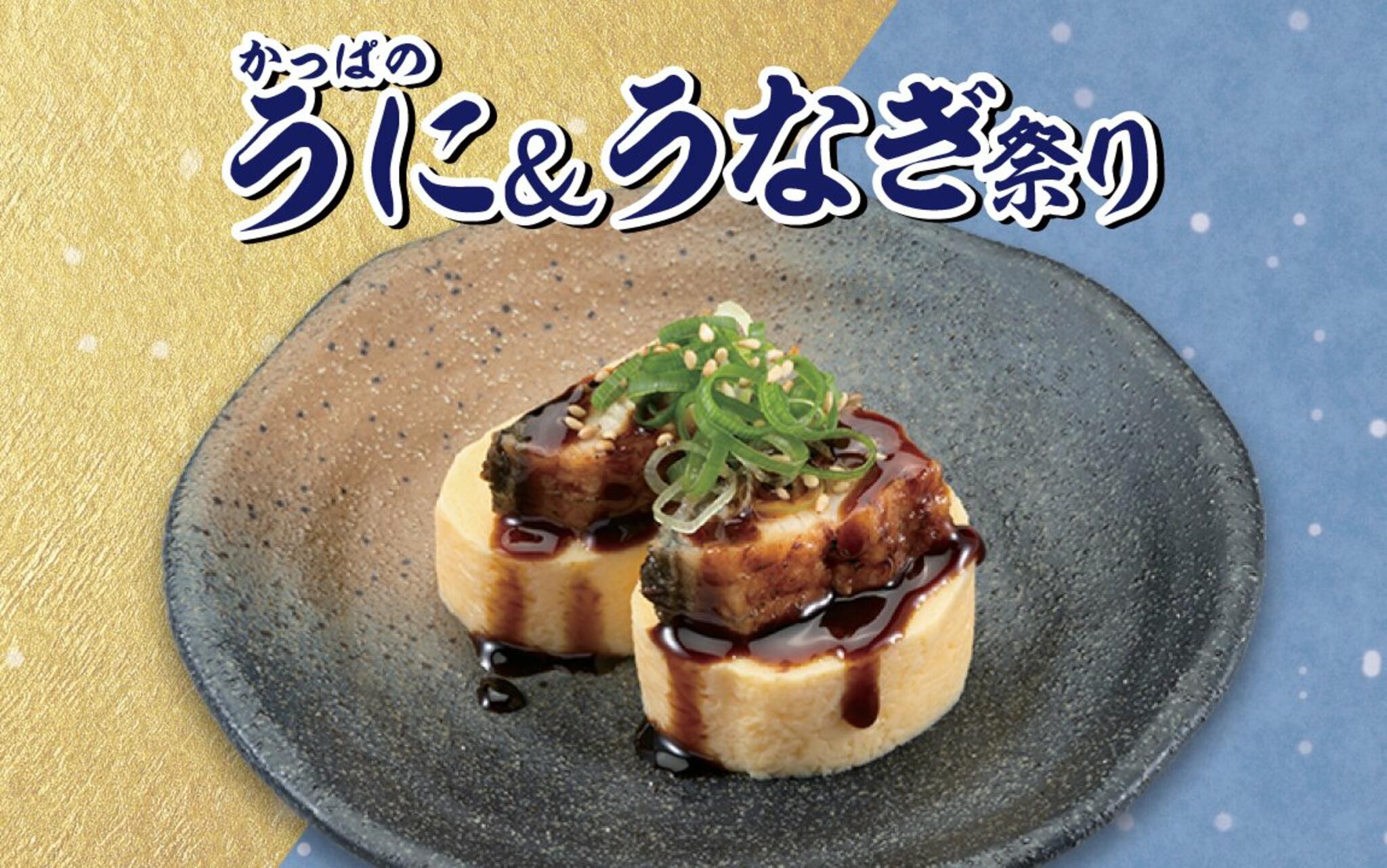 かっぱ寿司 穂積店の代表写真3