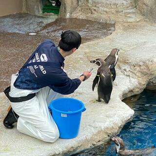 アクアワールド茨城県大洗水族館の写真30